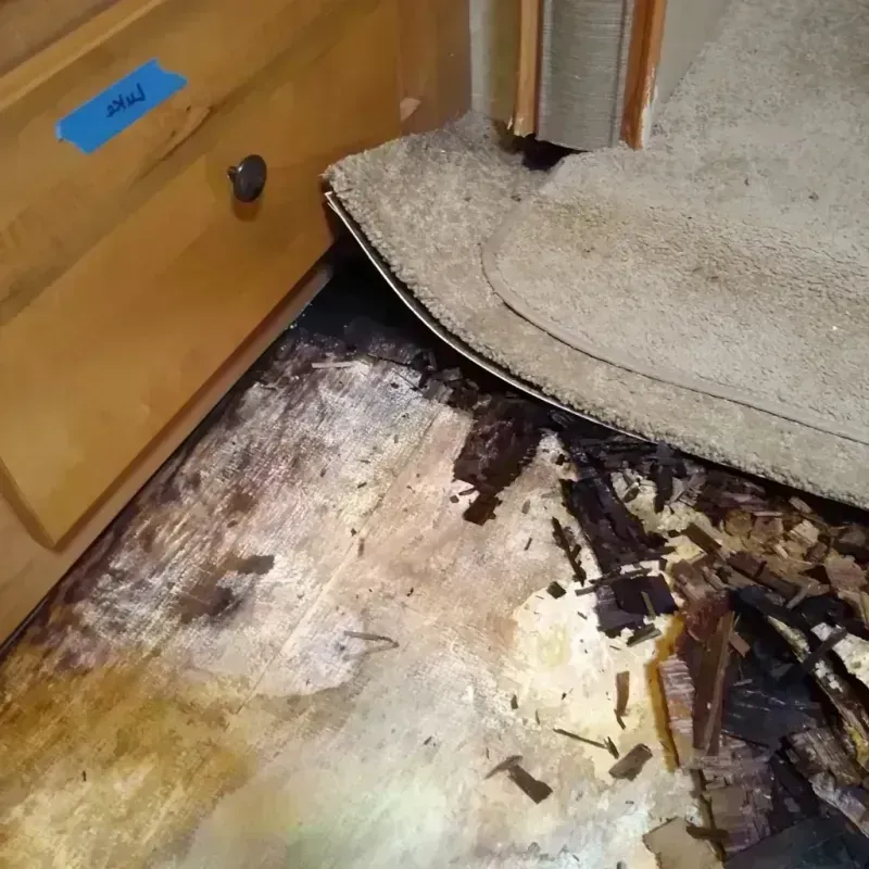 Best Wood Floor Water Damage Service in Union Springs, AL